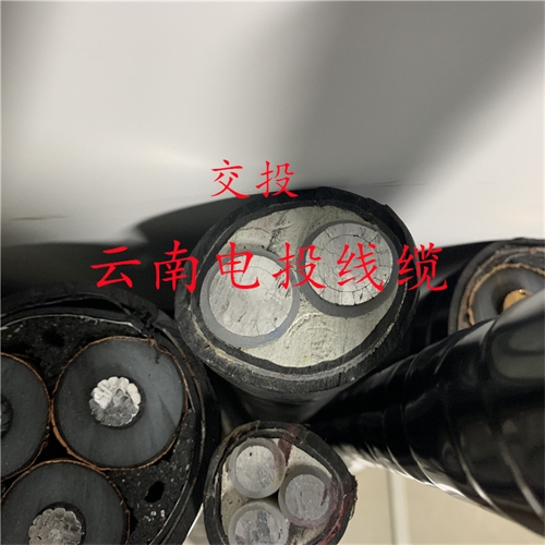 wap.ntxyykj.cn