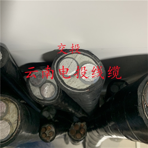 wap.ntxyykj.cn